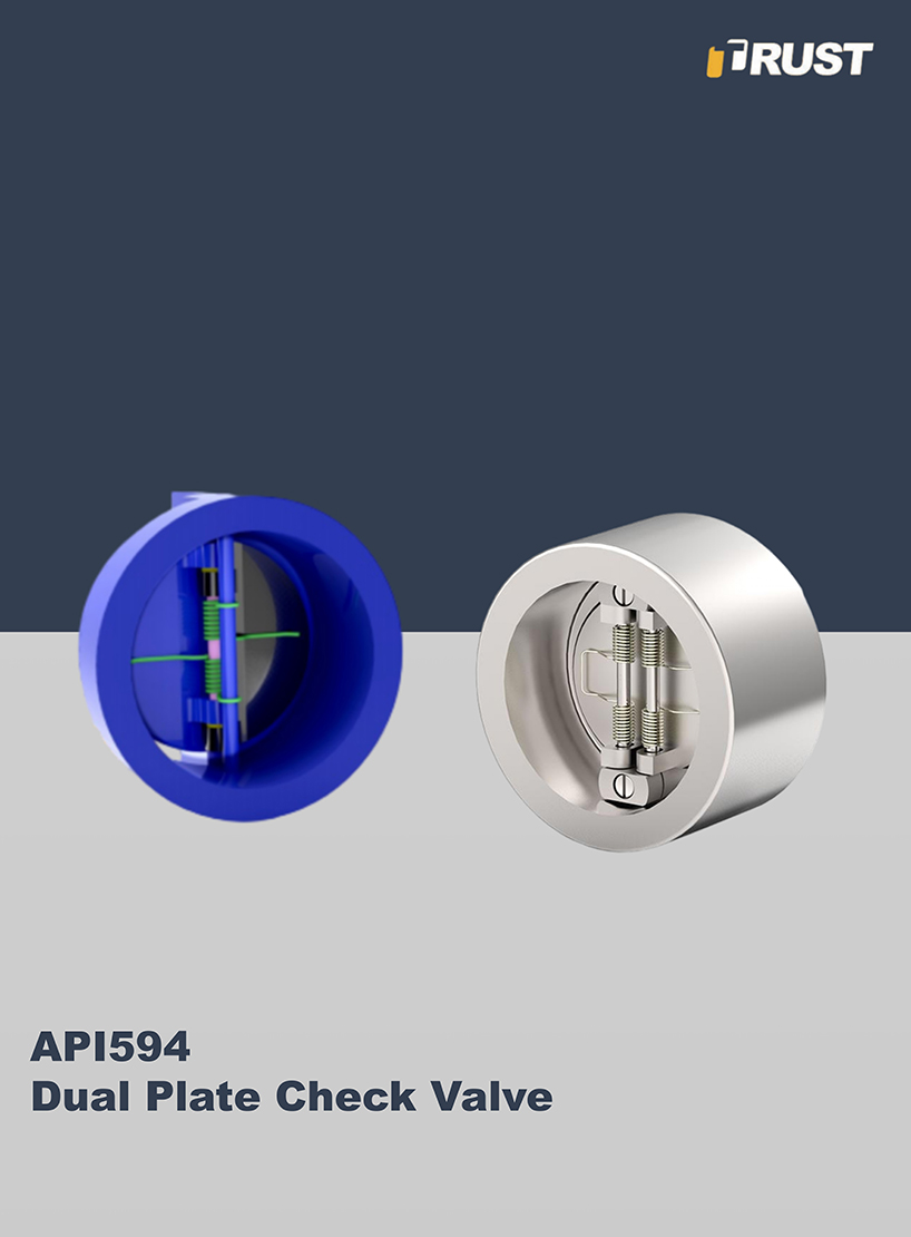 Válvula de Retención de Doble Placa